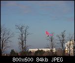 Click image for larger version

Name:	p1180036bn0.jpg
Views:	6486
Size:	84.2 KB
ID:	104