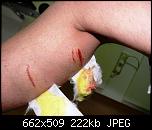 Click image for larger version

Name:	P1010195.JPG
Views:	1644
Size:	221.6 KB
ID:	1342