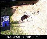 Click image for larger version

Name:	IMGP4008.JPG
Views:	1991
Size:	392.9 KB
ID:	1725