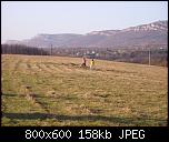 Click image for larger version

Name:	IMG_0871.JPG
Views:	1123
Size:	158.0 KB
ID:	1760