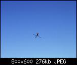 Click image for larger version

Name:	IMGP4073.JPG
Views:	1288
Size:	276.4 KB
ID:	1837