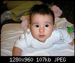 Click image for larger version

Name:	Apchih.jpg
Views:	2631
Size:	106.8 KB
ID:	1842