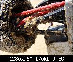 Click image for larger version

Name:	DSC02505.jpg
Views:	819
Size:	170.4 KB
ID:	2359