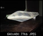 Click image for larger version

Name:	IMG_1896.jpg
Views:	857
Size:	76.7 KB
ID:	2510