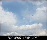 Click image for larger version

Name:	8.jpg
Views:	807
Size:	48.1 KB
ID:	4288