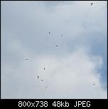 Click image for larger version

Name:	10.jpg
Views:	812
Size:	47.6 KB
ID:	4289