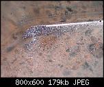 Click image for larger version

Name:	alstrujki.jpg
Views:	1152
Size:	179.1 KB
ID:	6885