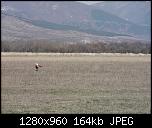 Click image for larger version

Name:	CAM_0115.jpg
Views:	1551
Size:	163.8 KB
ID:	843