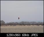 Click image for larger version

Name:	CAM_0092.jpg
Views:	1586
Size:	68.4 KB
ID:	845