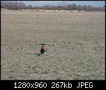 Click image for larger version

Name:	CAM_0087.jpg
Views:	1621
Size:	267.3 KB
ID:	846