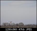 Click image for larger version

Name:	CAM_0108.jpg
Views:	1589
Size:	46.7 KB
ID:	850
