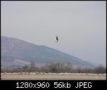 Click image for larger version

Name:	CAM_0107.jpg
Views:	1561
Size:	56.2 KB
ID:	852
