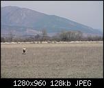 Click image for larger version

Name:	CAM_0114.jpg
Views:	1590
Size:	128.3 KB
ID:	854