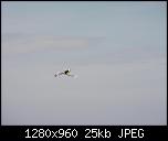 Click image for larger version

Name:	CAM_0103.jpg
Views:	1609
Size:	25.4 KB
ID:	856