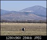 Click image for larger version

Name:	Na raba _1280x960.jpg
Views:	996
Size:	283.7 KB
ID:	918